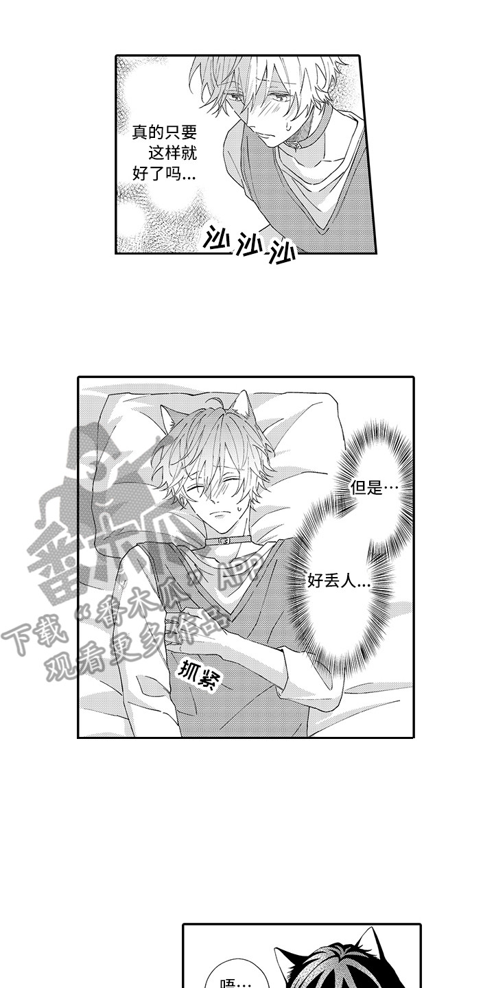 猫咪之家漫画,第4章：照顾5图