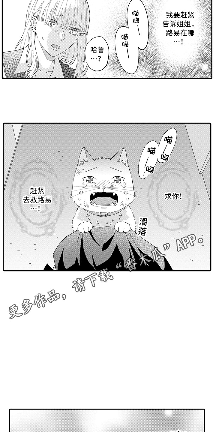 猫咪之家漫画,第20章：求救3图