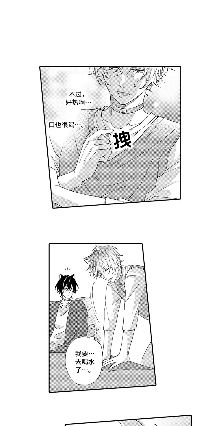 猫咪之家漫画,第3章：发烧1图