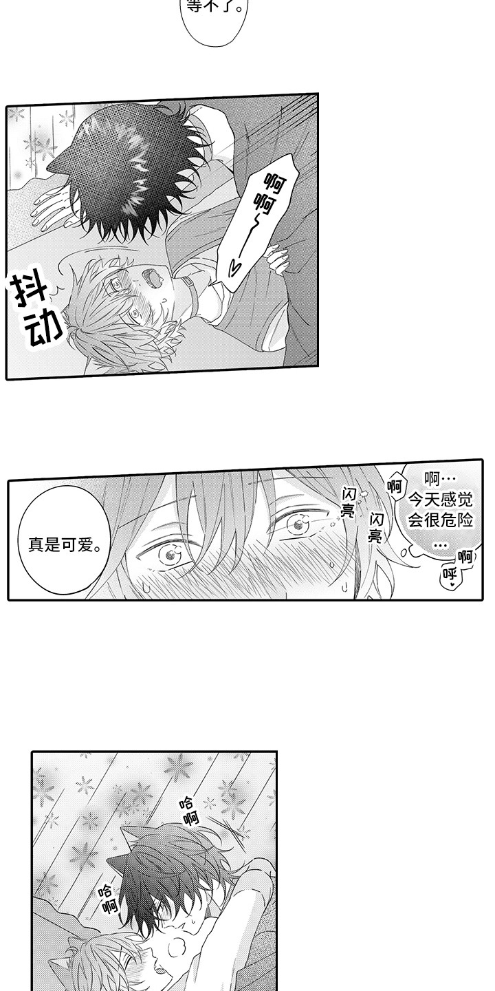 猫咪之家漫画,第24章：在一起（完结）1图