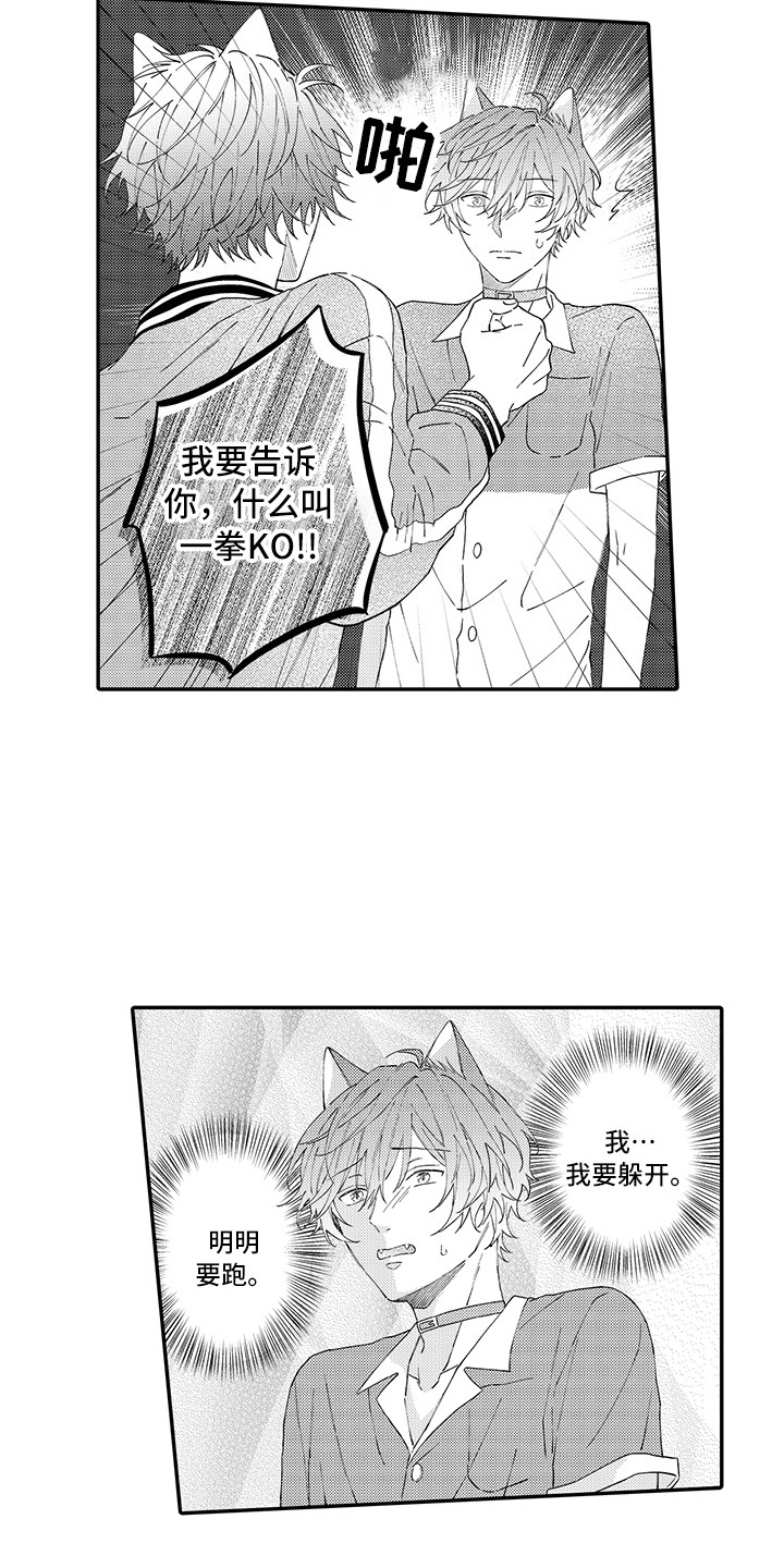 猫咪之家漫画,第17章：保护3图