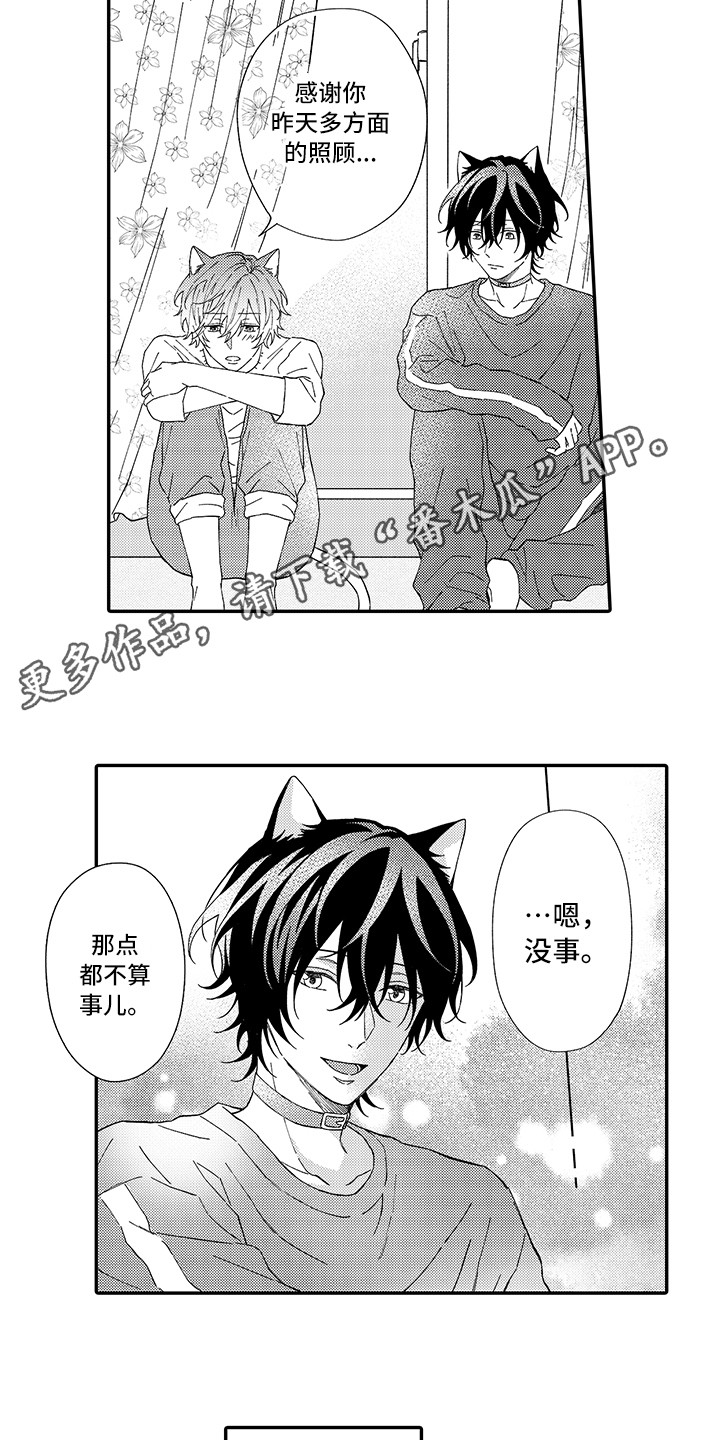 猫咪之家漫画,第5章：倾诉2图