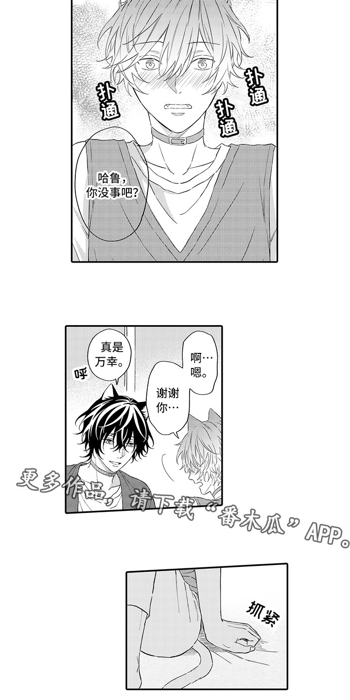 猫咪之家漫画,第9章：心跳加快3图