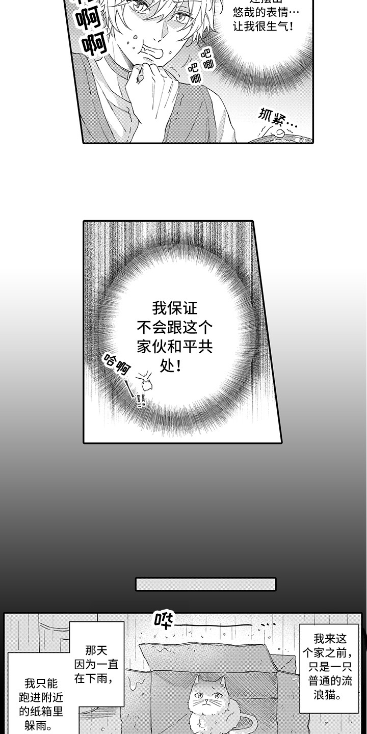 猫咪之家漫画,第1章：两只小猫1图