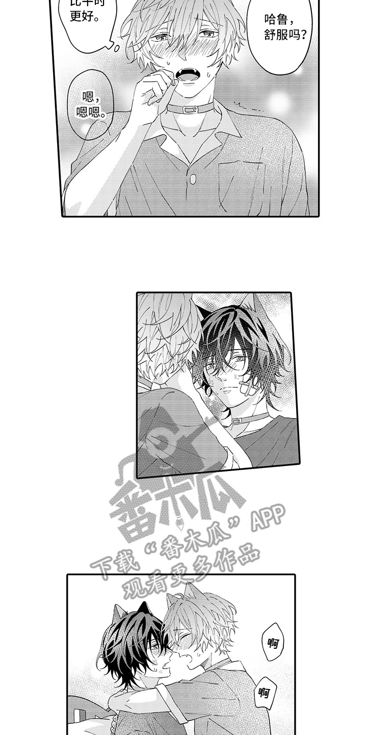 猫咪之家漫画,第21章：下决心4图