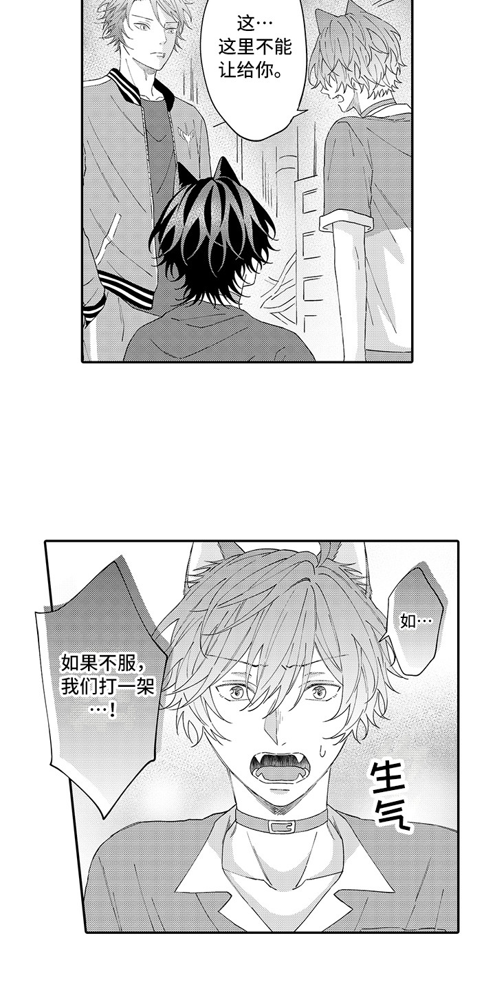 猫咪之家漫画,第17章：保护1图