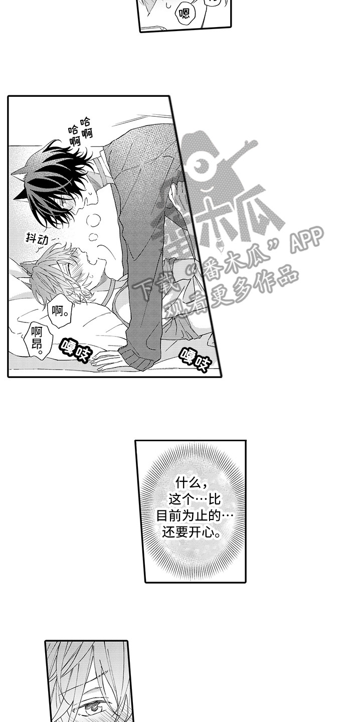 猫咪之家漫画,第11章：很开心4图