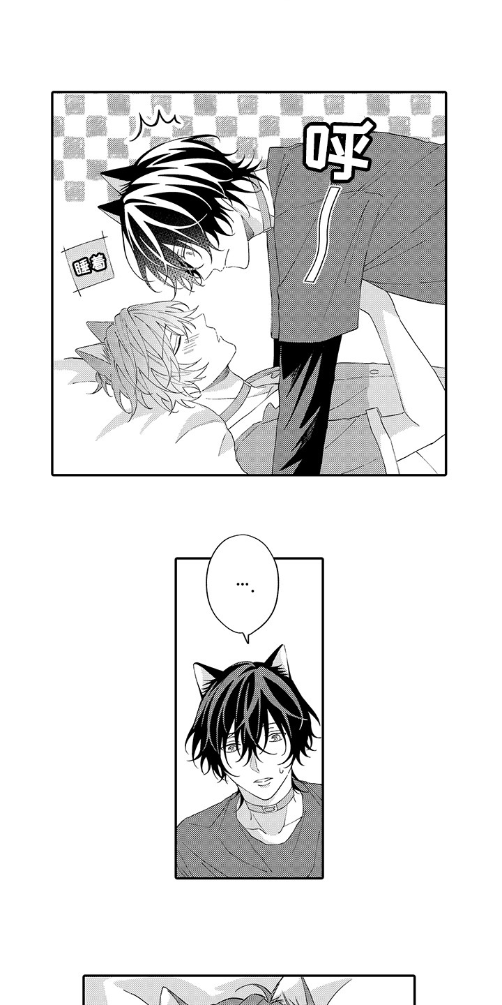 猫咪之家漫画,第14章：睡着了3图
