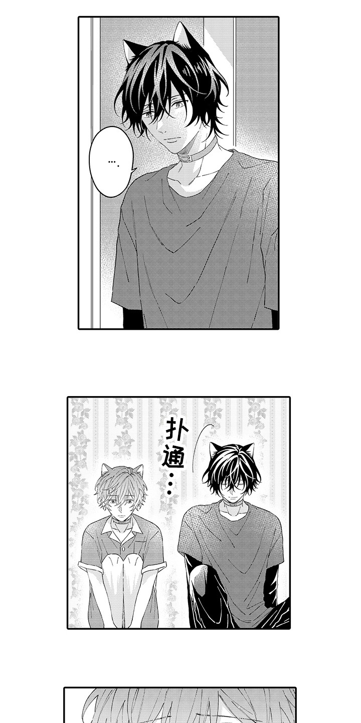 猫咪之家漫画,第16章：私奔2图