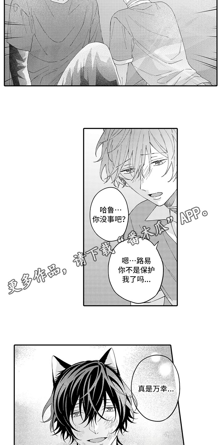 猫咪之家漫画,第18章：受伤了3图