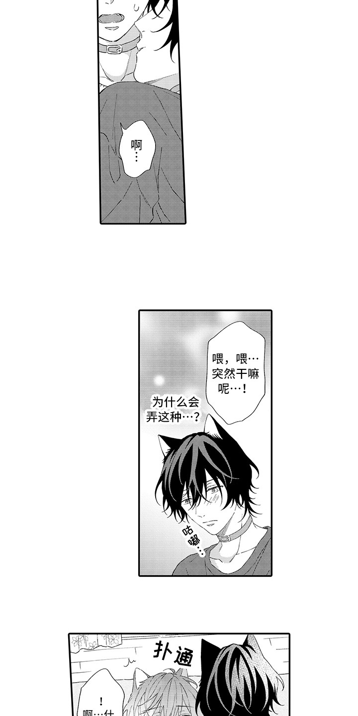 猫咪之家漫画,第7章：没法抵抗3图