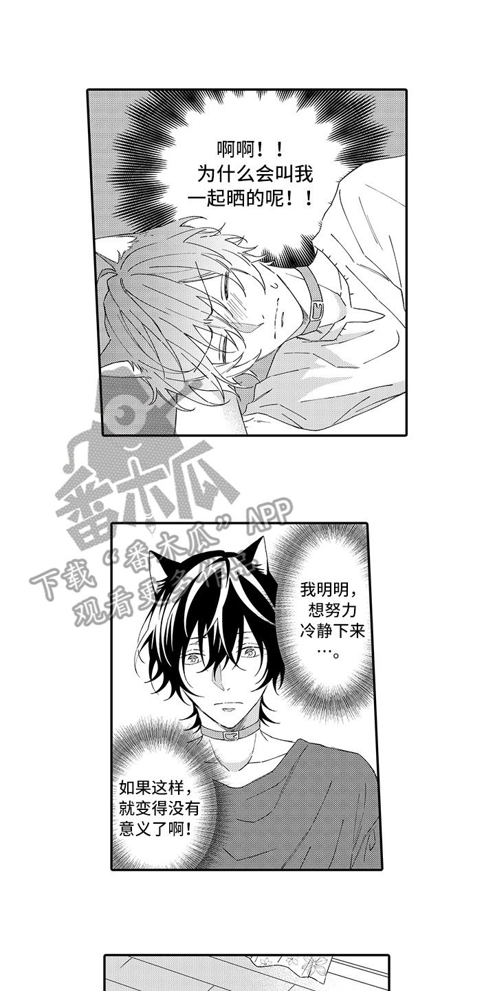 猫咪之家漫画,第6章：笑容1图