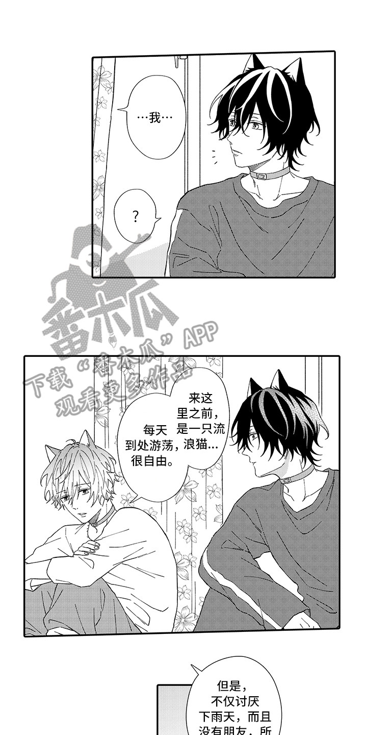 猫咪之家漫画,第5章：倾诉4图