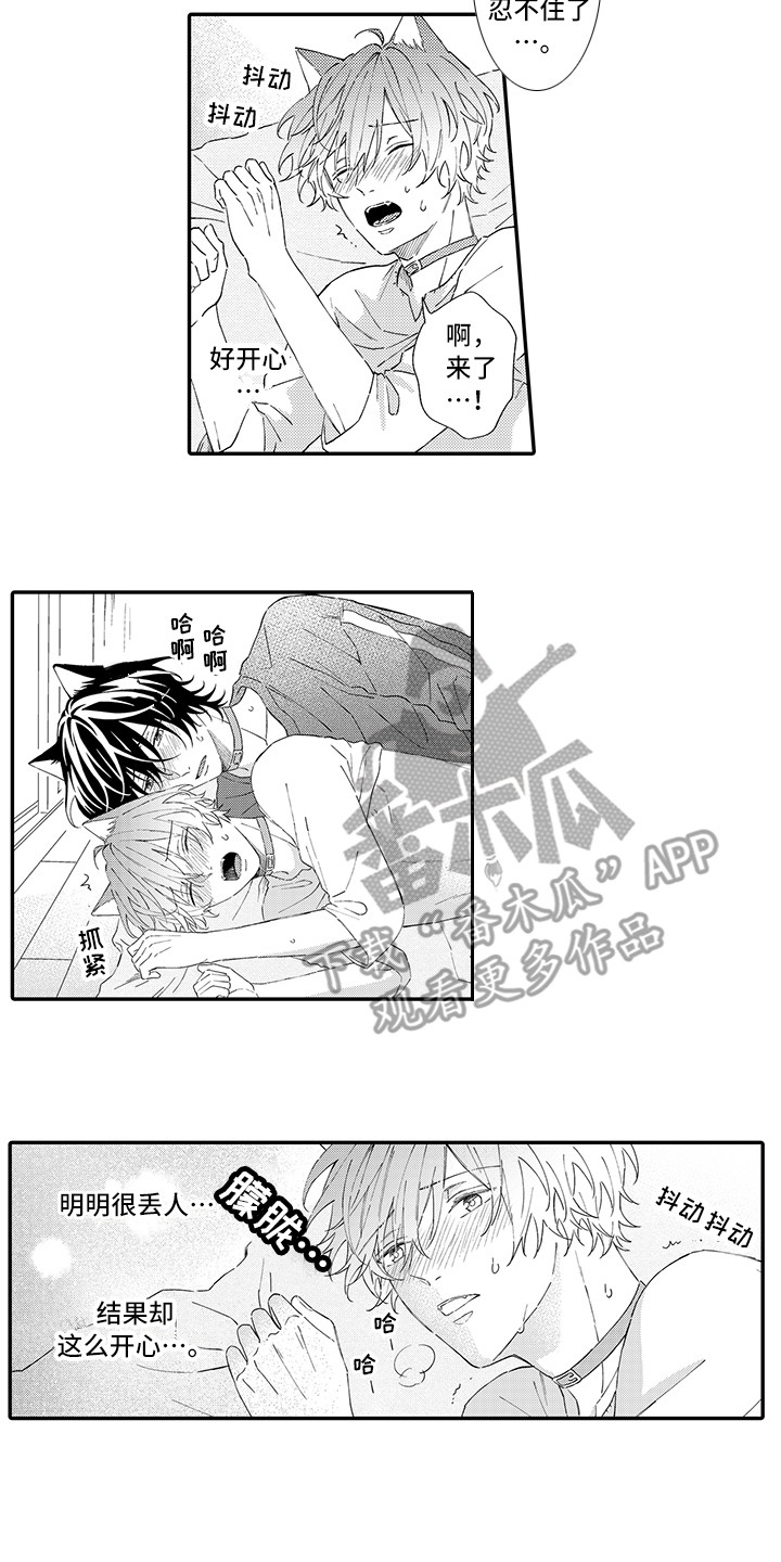 猫咪之家漫画,第8章：不再讨厌5图