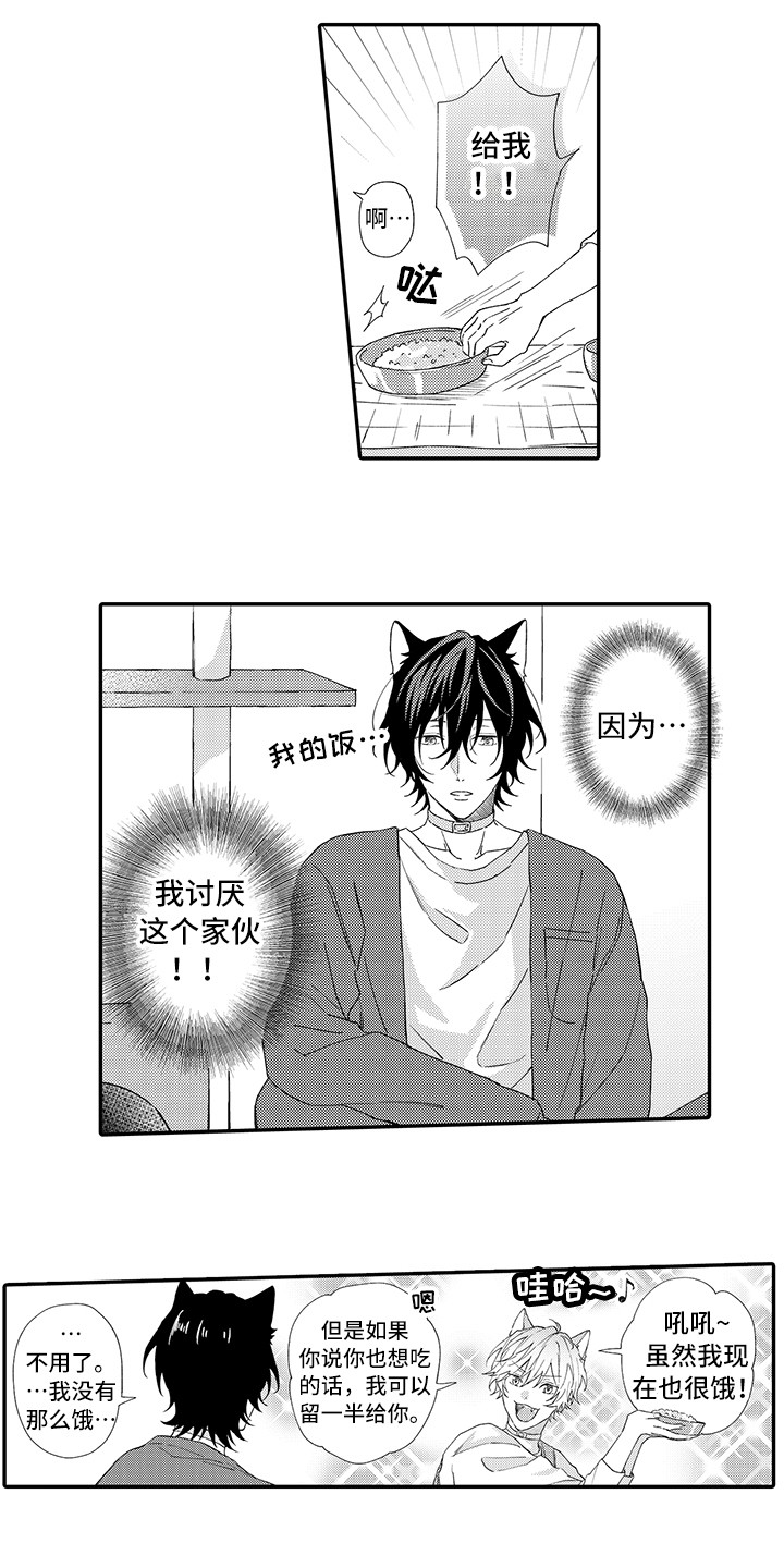 猫咪之家漫画,第1章：两只小猫4图