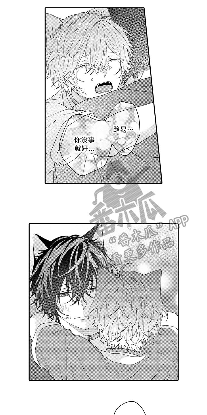 猫咪之家漫画,第20章：求救4图