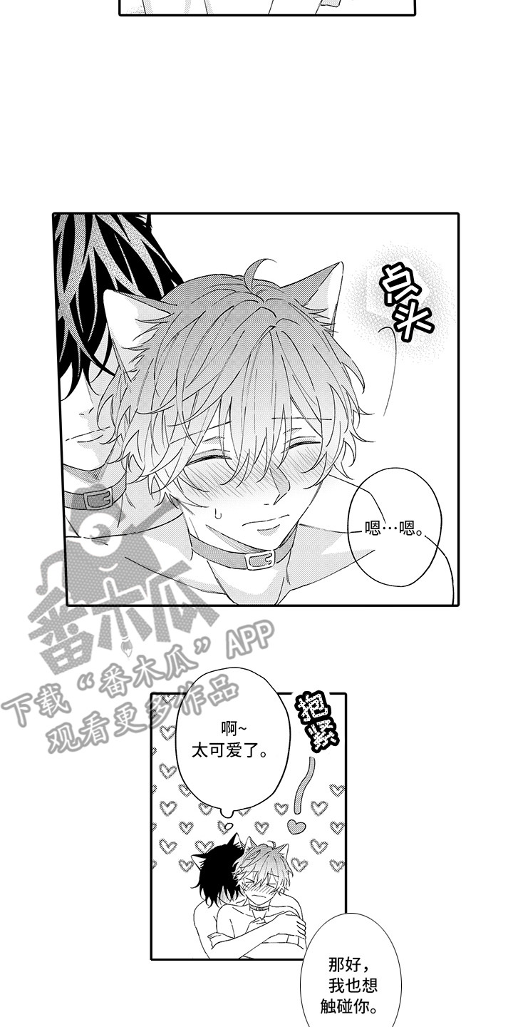 猫咪之家漫画,第13章：洗一洗4图