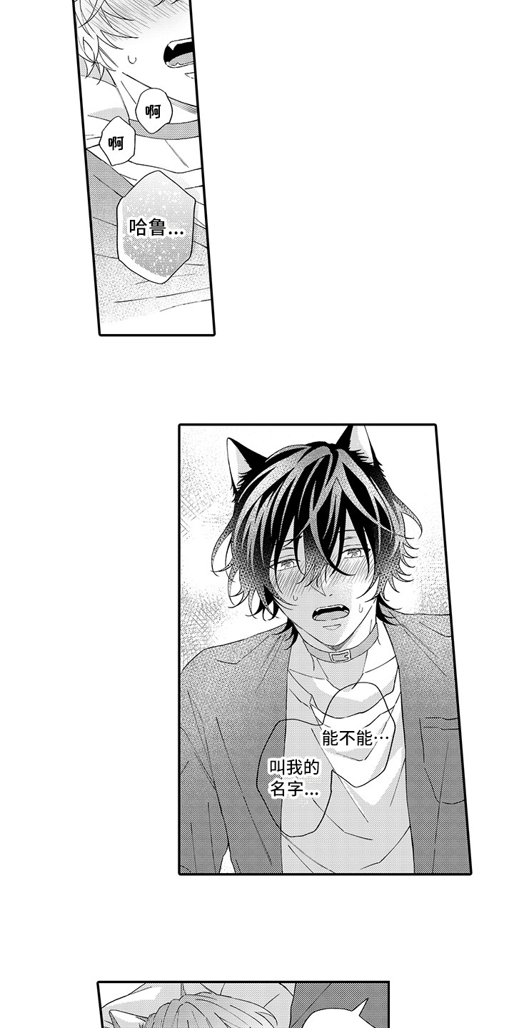 猫咪之家漫画,第11章：很开心5图