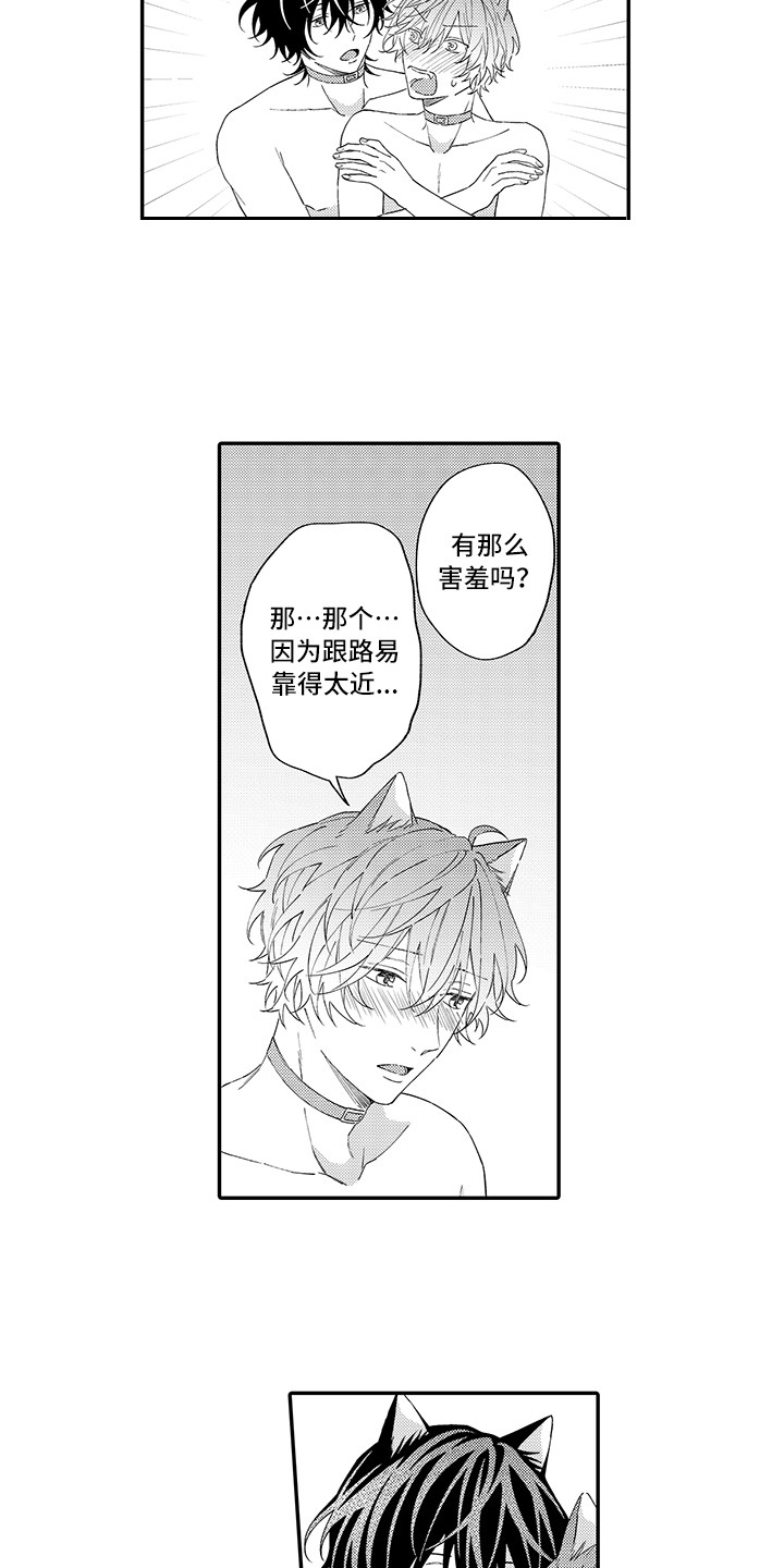 猫咪之家漫画,第12章：怕水5图