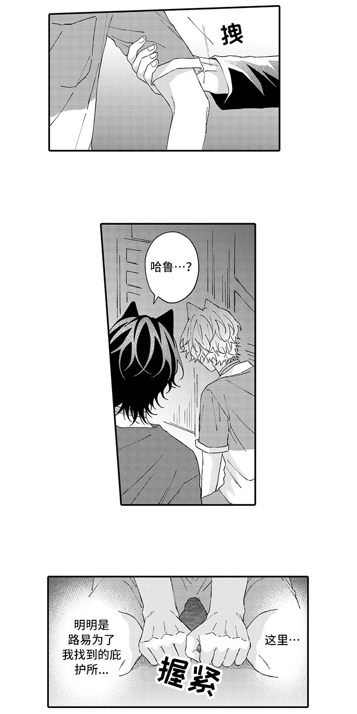 猫咪之家漫画,第17章：保护4图