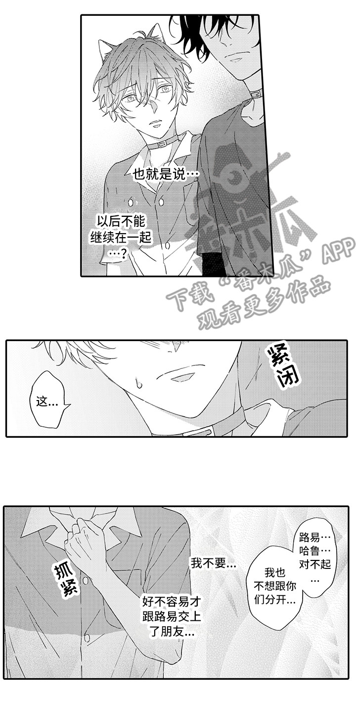 猫咪之家漫画,第15章：坏消息4图