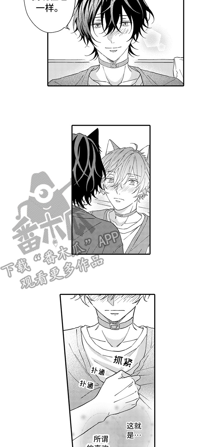 猫咪之家漫画,第10章：表白4图