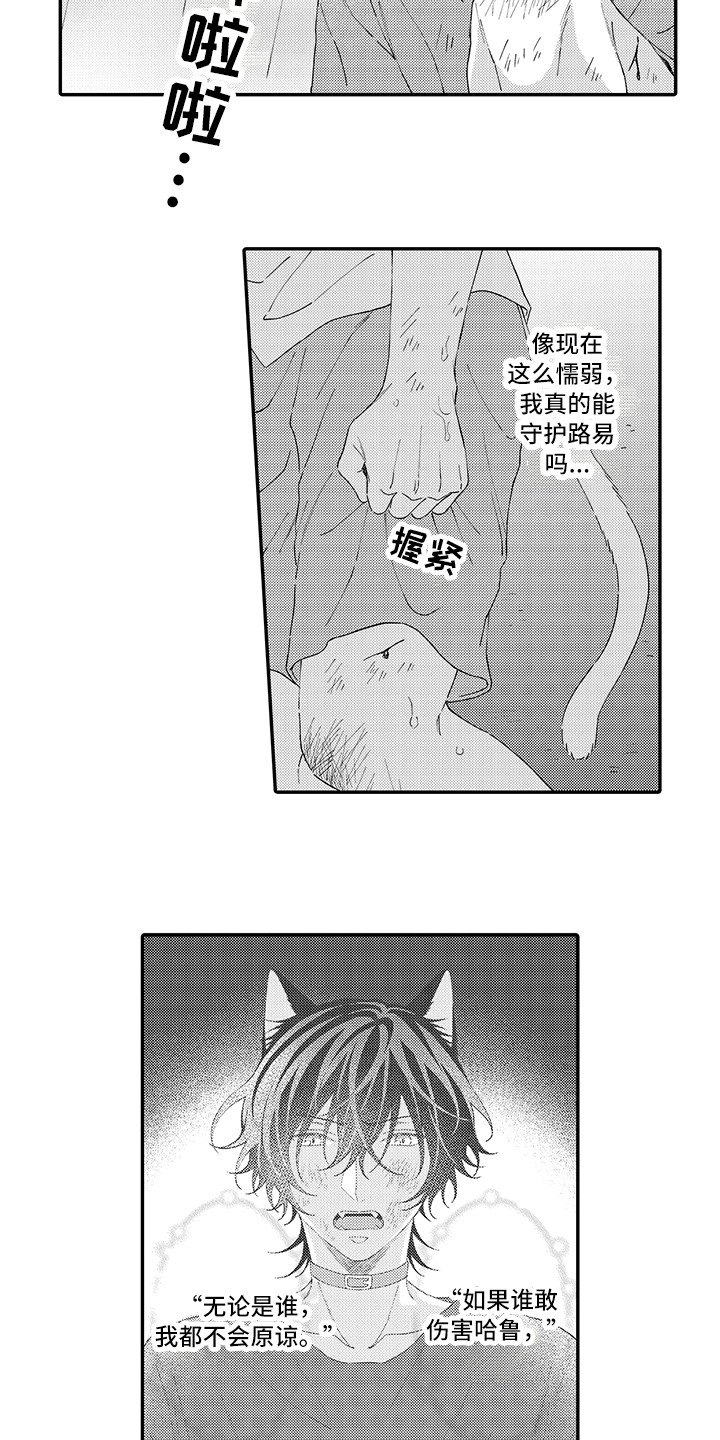 猫咪之家漫画,第19章：急切3图