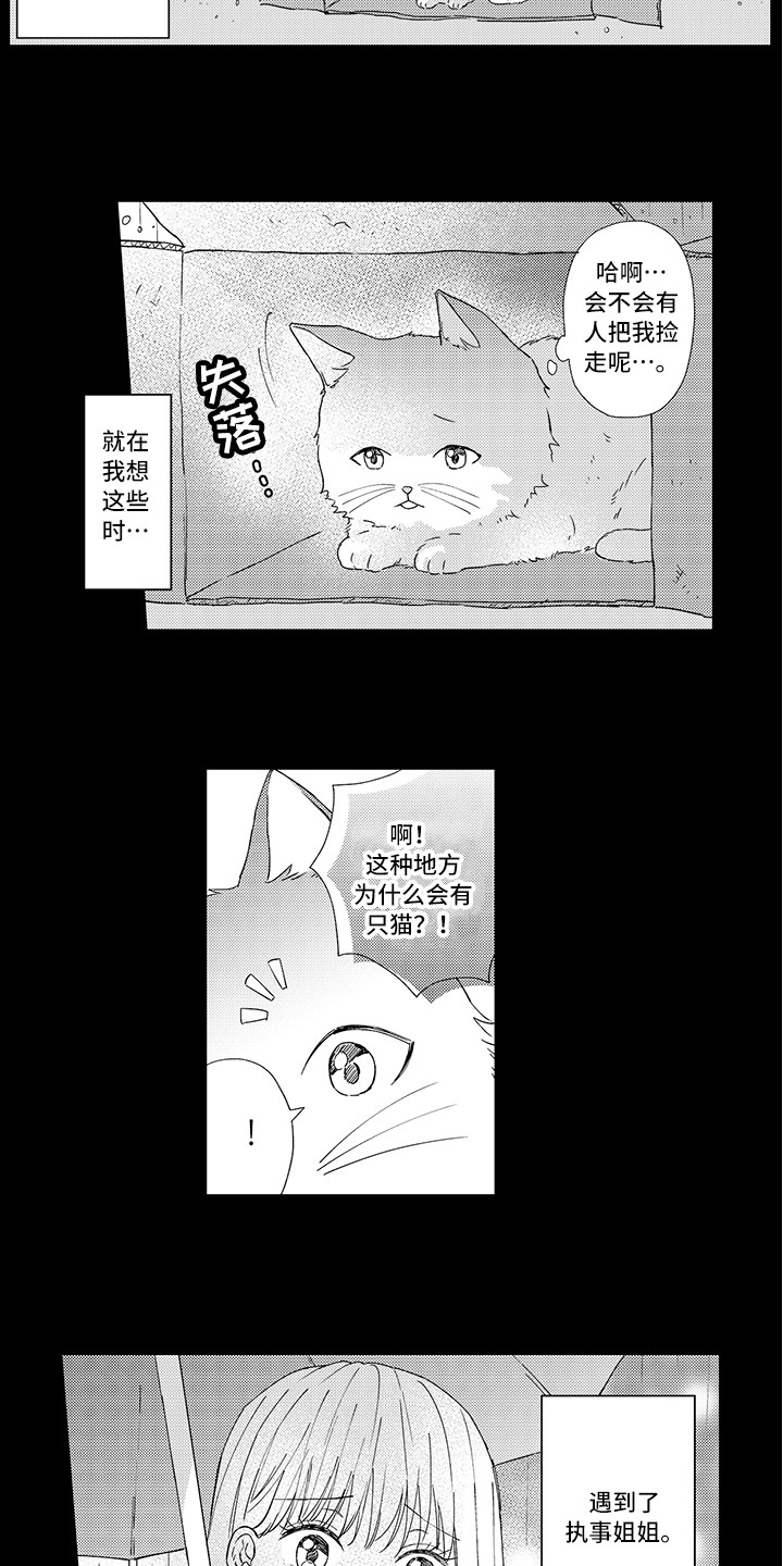 猫咪之家漫画,第1章：两只小猫2图
