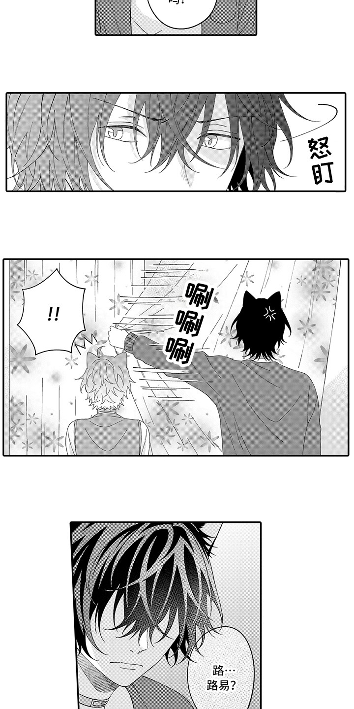 猫咪之家漫画,第23章：嫉妒4图