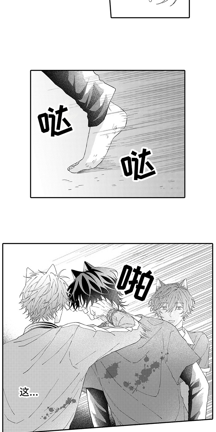 猫咪之家漫画,第17章：保护5图