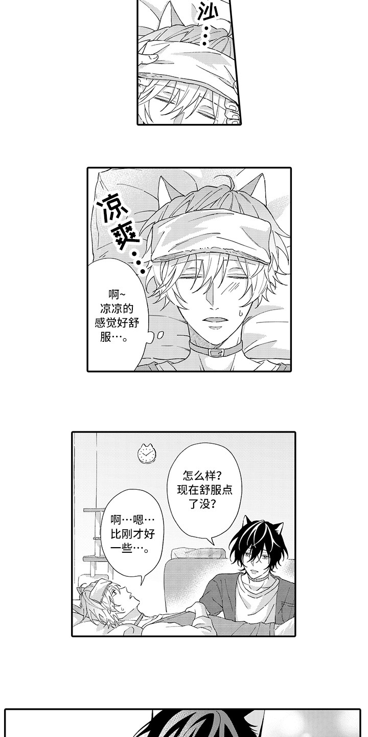 猫咪之家漫画,第3章：发烧5图