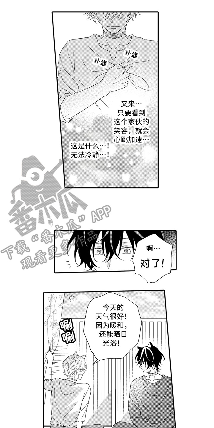 猫咪之家漫画,第6章：笑容4图