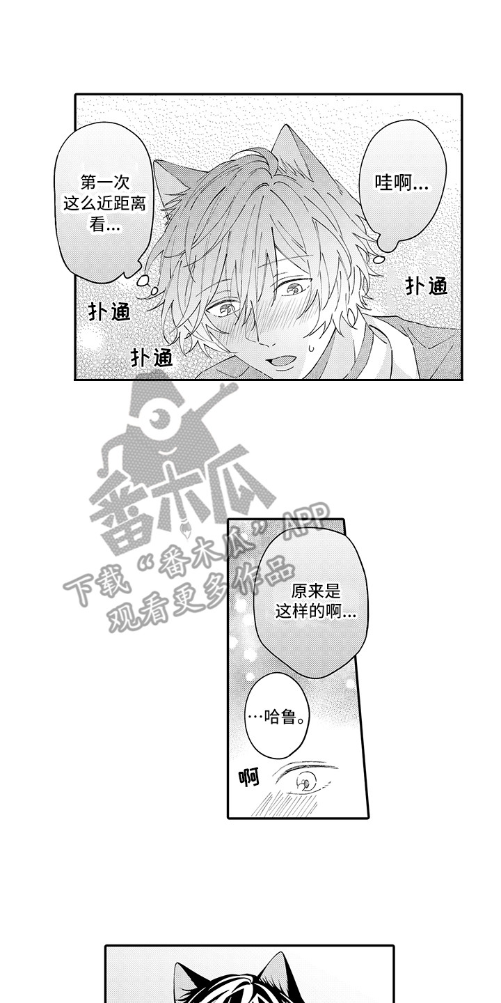 猫咪之家漫画,第21章：下决心5图