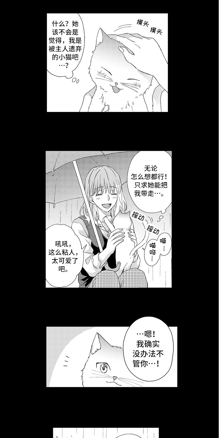 猫咪之家漫画,第1章：两只小猫4图