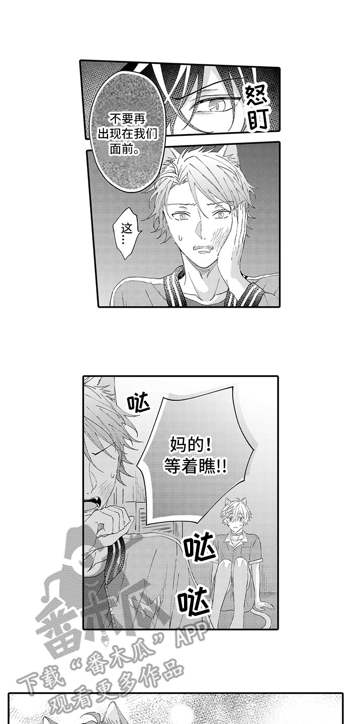 猫咪之家漫画,第18章：受伤了1图