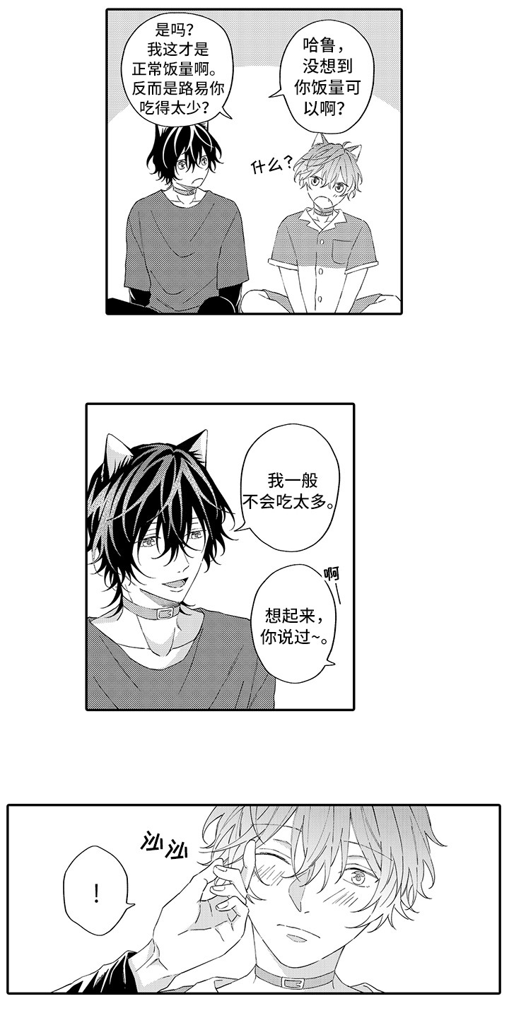 猫咪之家漫画,第14章：睡着了4图