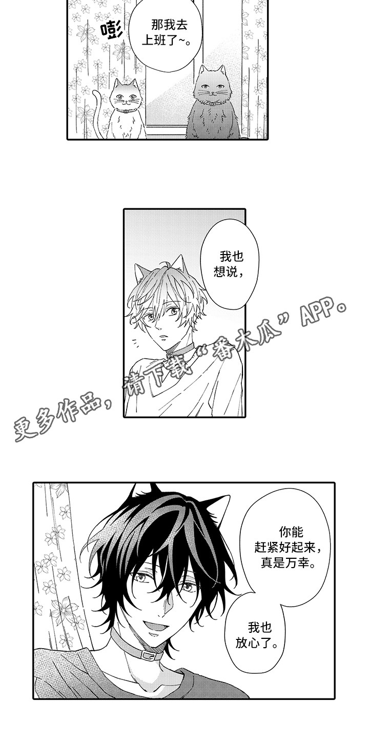 猫咪之家漫画,第5章：倾诉3图