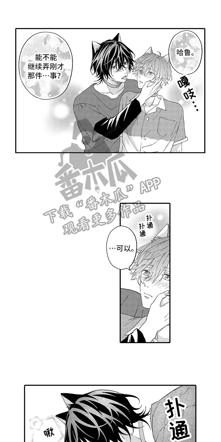 猫咪之家漫画,第14章：睡着了5图