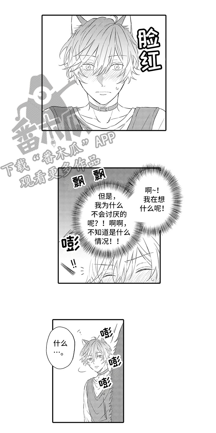 猫咪之家漫画,第8章：不再讨厌4图