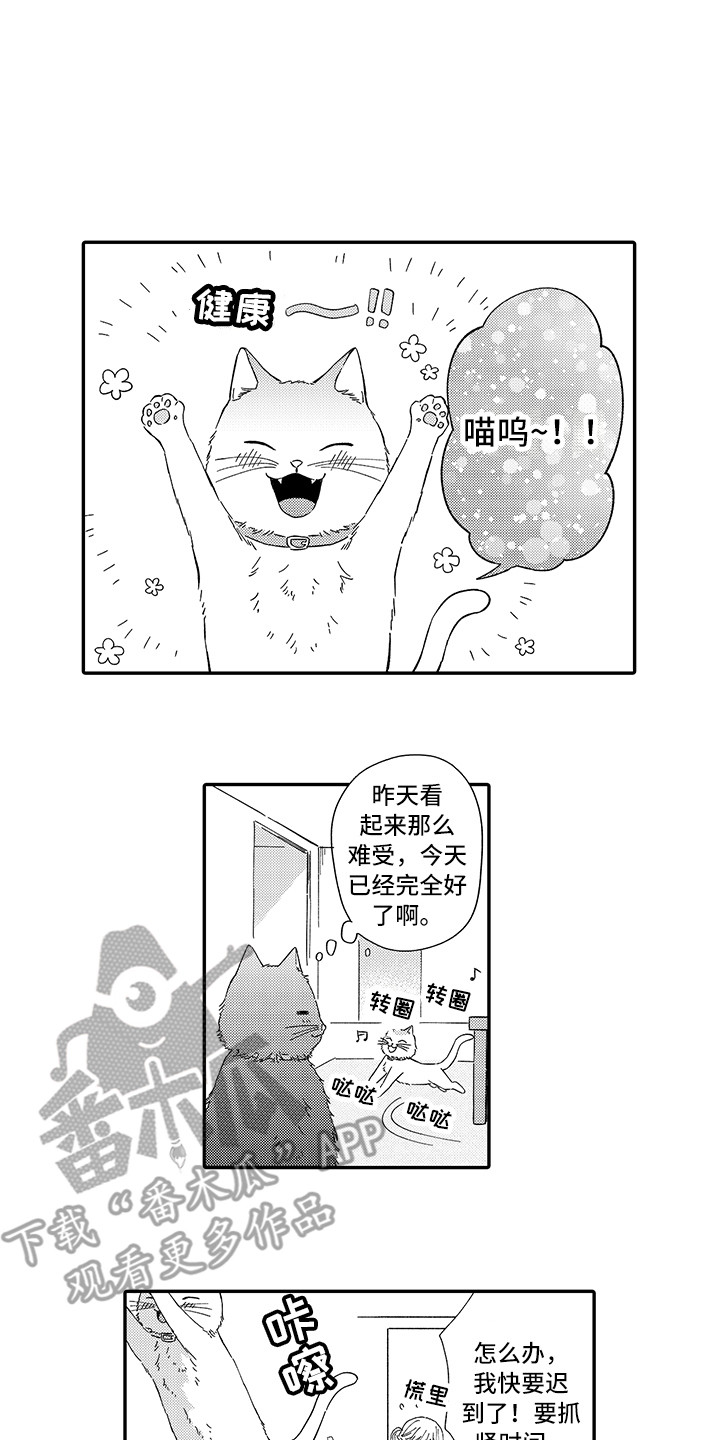 猫咪之家漫画,第5章：倾诉1图