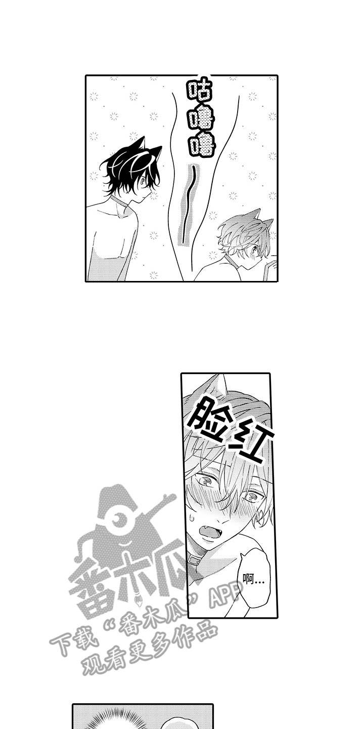 猫咪之家漫画,第14章：睡着了1图