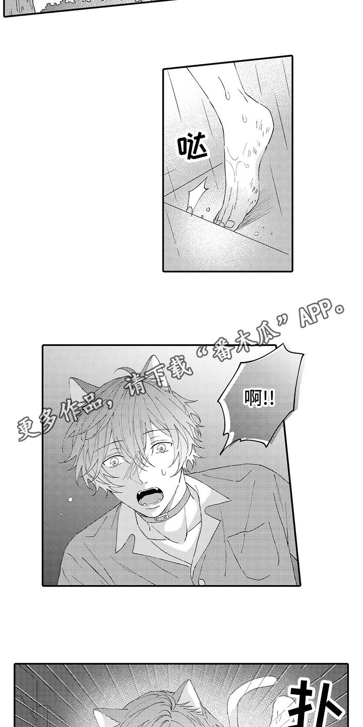 猫咪之家漫画,第19章：急切5图