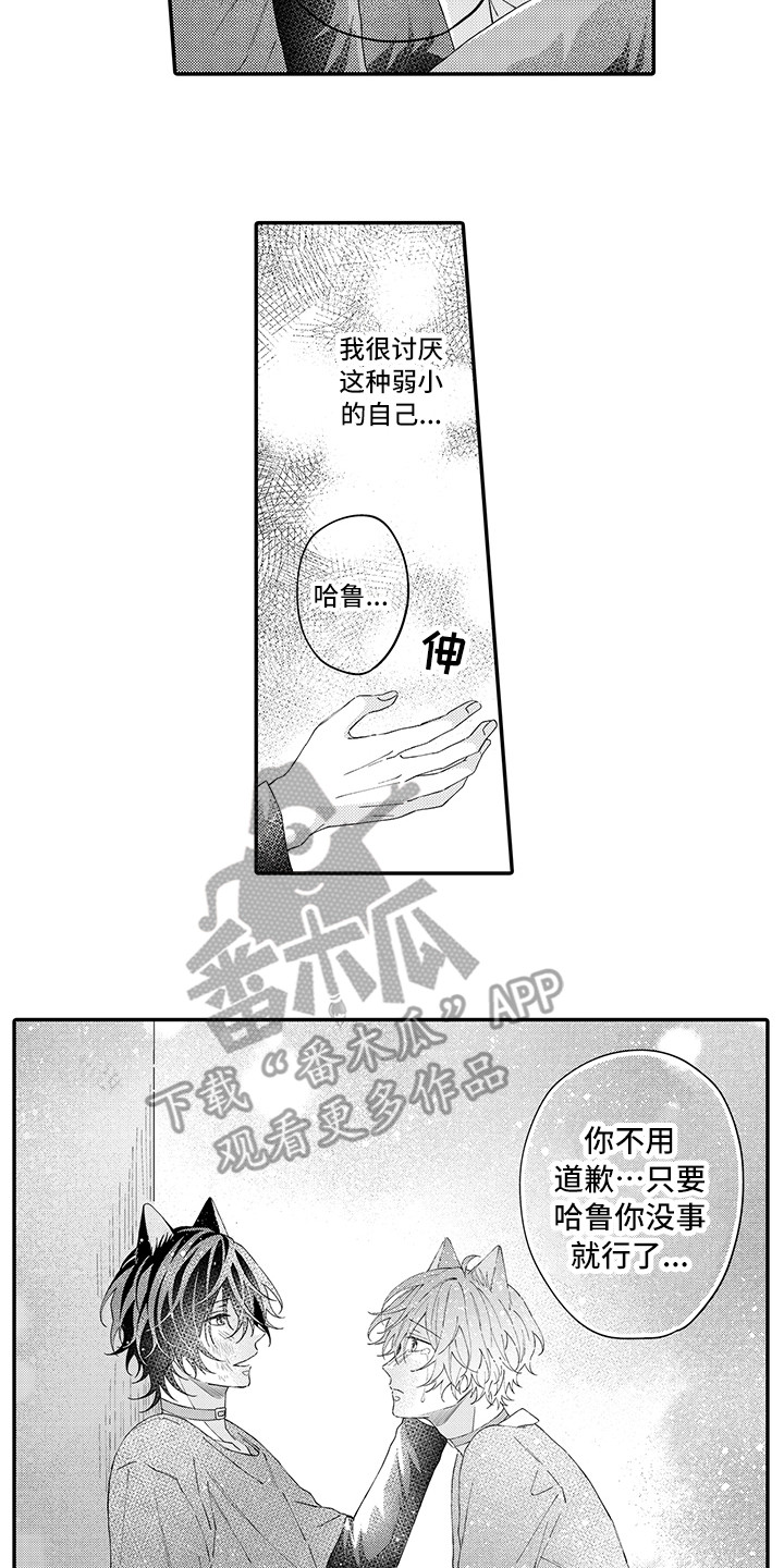 猫咪之家漫画,第18章：受伤了5图
