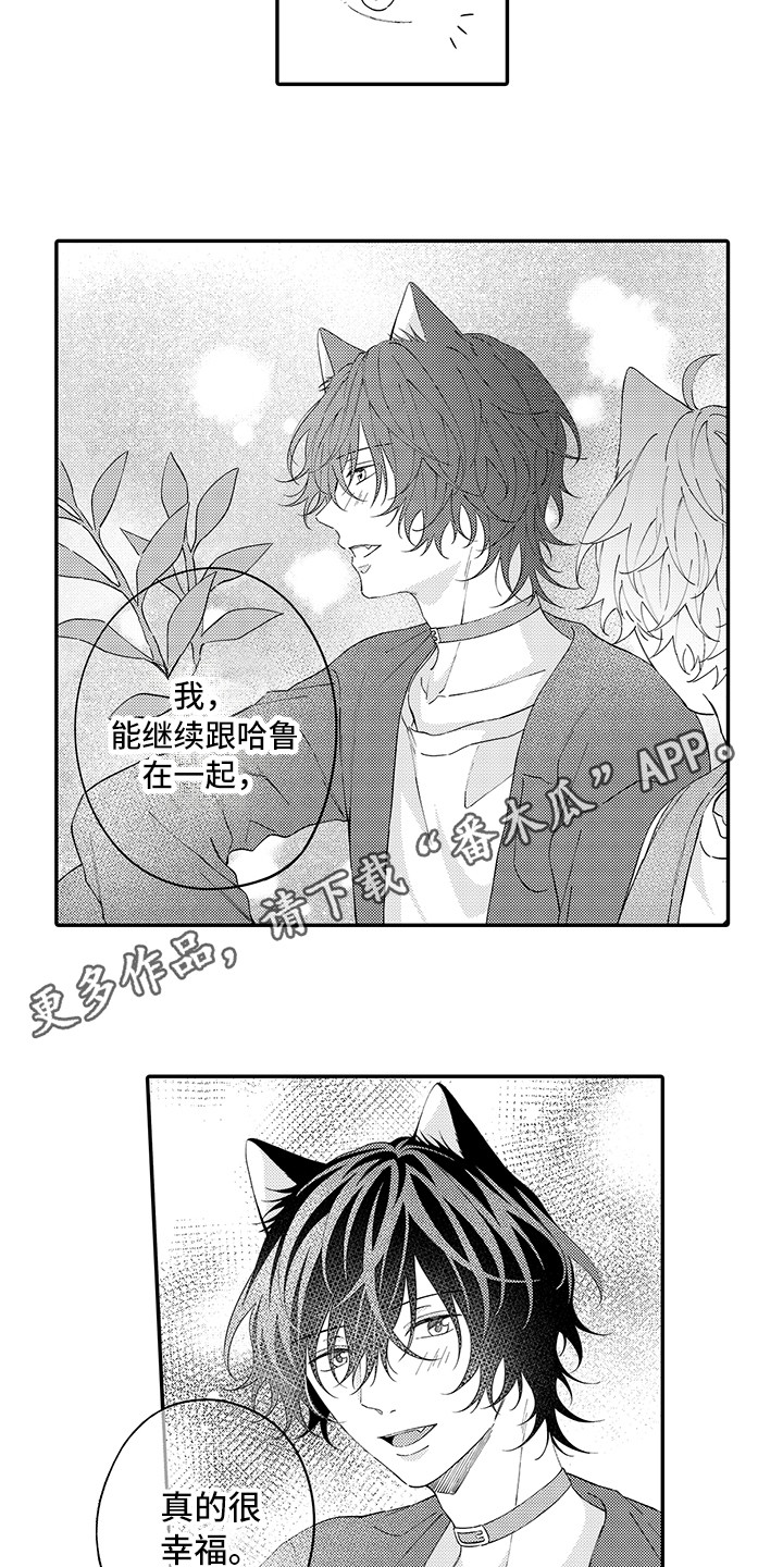 猫咪之家漫画,第22章：新家3图