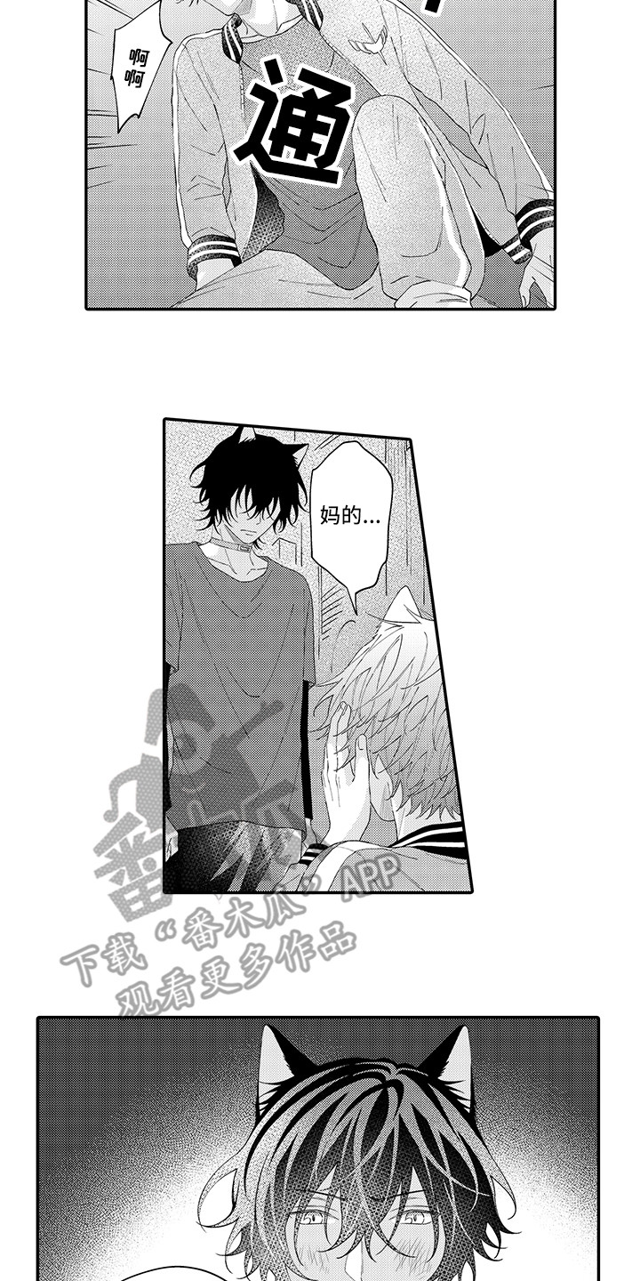 猫咪之家漫画,第17章：保护3图