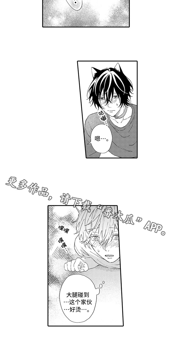 猫咪之家漫画,第8章：不再讨厌3图