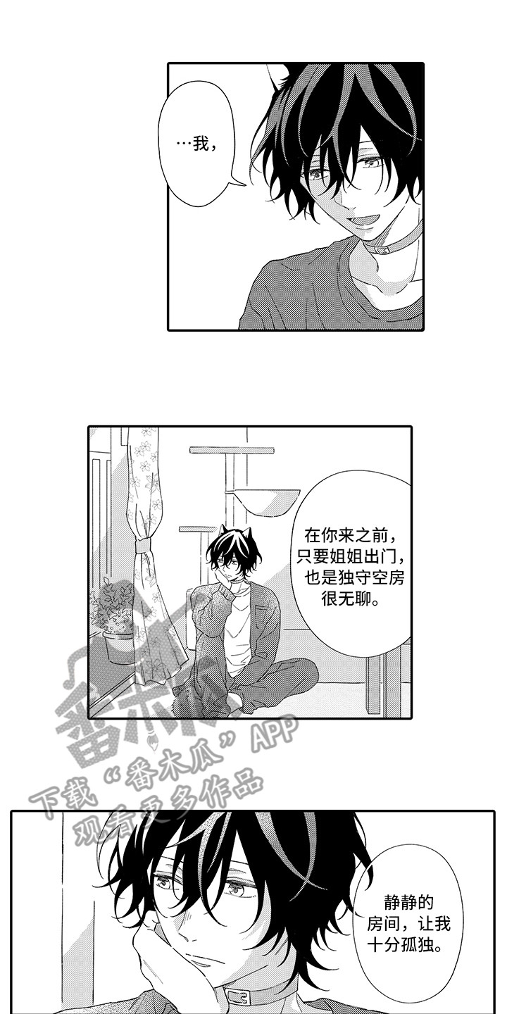 猫咪之家漫画,第6章：笑容1图