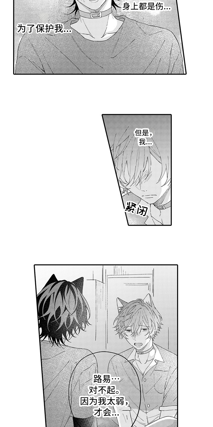 猫咪之家漫画,第18章：受伤了4图