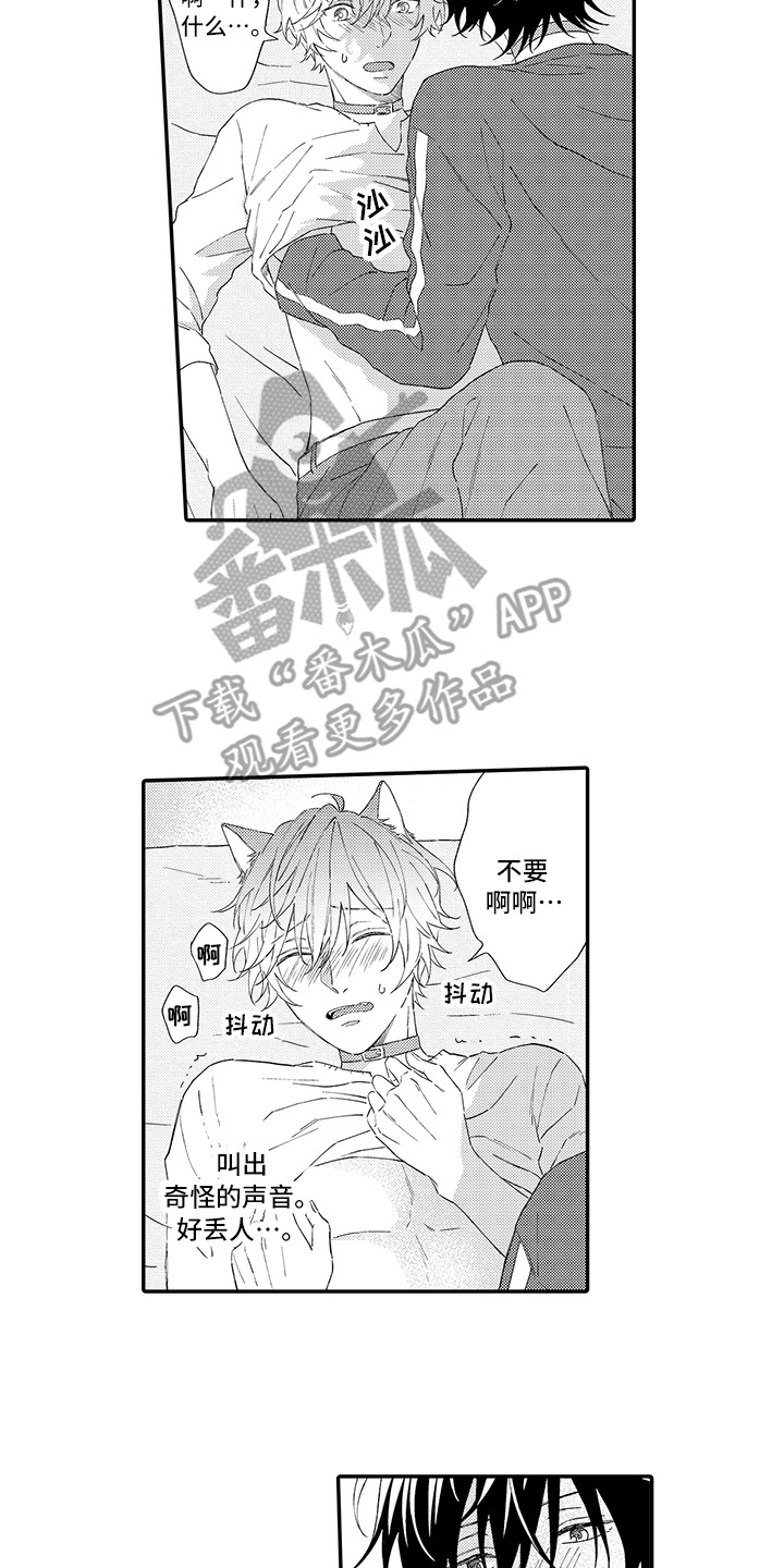 猫咪之家漫画,第7章：没法抵抗4图