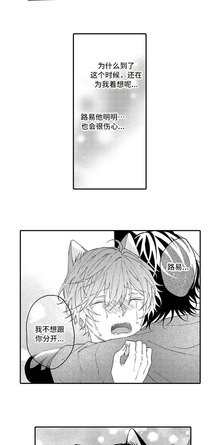 猫咪之家漫画,第16章：私奔1图